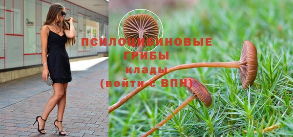марки lsd Аркадак